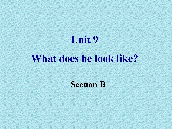 Unit 9 What does he look like? Section B 