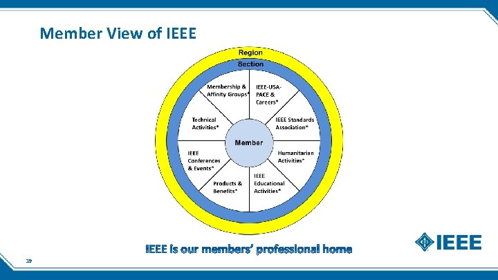 Member View of IEEE 19 