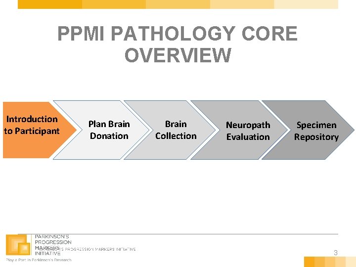 PPMI PATHOLOGY CORE OVERVIEW Introduction to Participant Plan Brain Donation Brain Collection Neuropath Evaluation