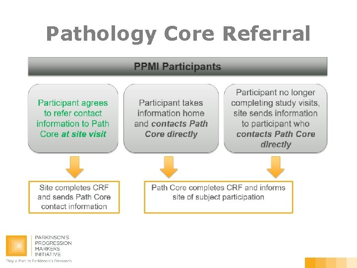 Pathology Core Referral 
