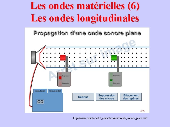 Les ondes matérielles (6) Les ondes longitudinales http: //www. ostralo. net/3_animations/swf/onde_sonore_plane. swf 