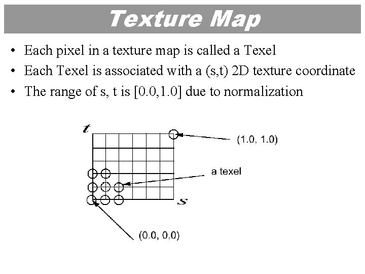 Texture Map • Each pixel in a texture map is called a Texel •