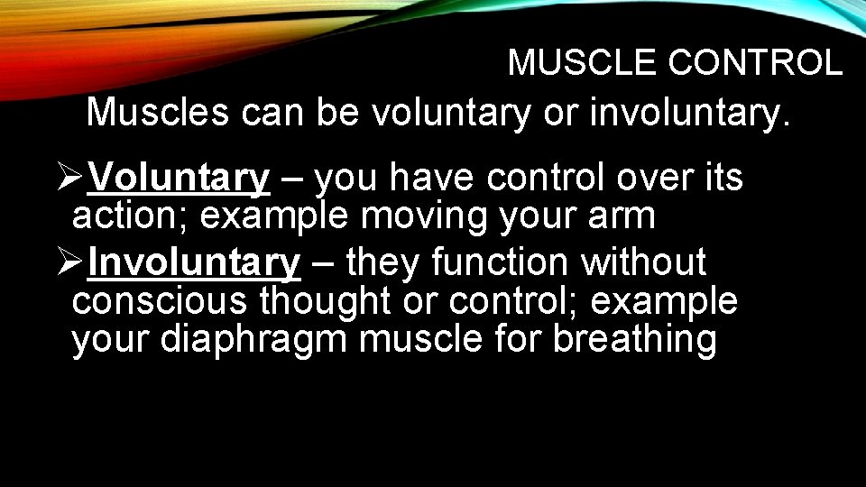 MUSCLE CONTROL Muscles can be voluntary or involuntary. ØVoluntary – you have control over