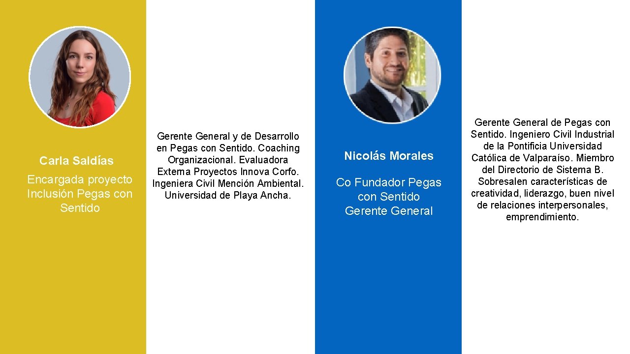 Carla Saldías Encargada proyecto Inclusión Pegas con Sentido Gerente General y de Desarrollo en