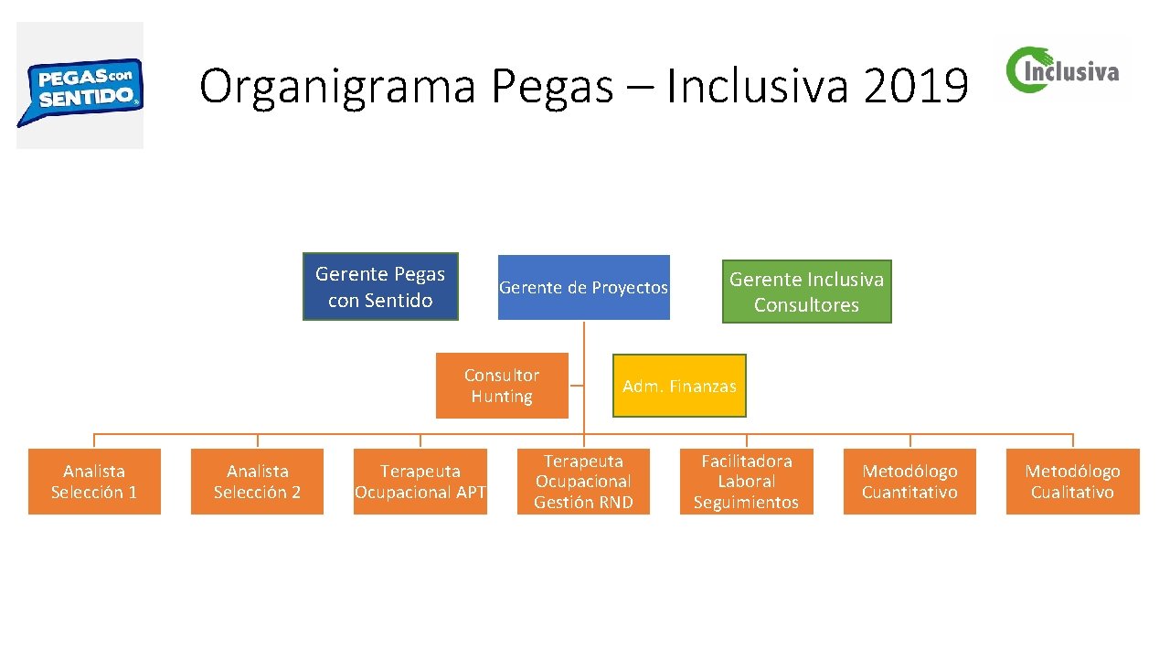 Organigrama Pegas – Inclusiva 2019 Gerente Pegas con Sentido Gerente de Proyectos Consultor Hunting