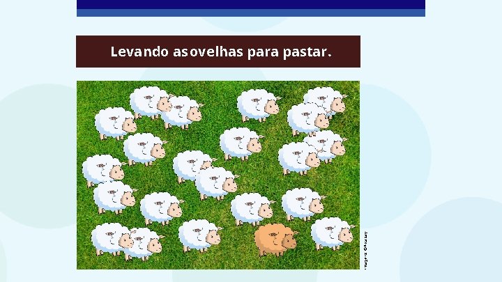 Imagens: ©Pixabay Levando as ovelhas para pastar. 