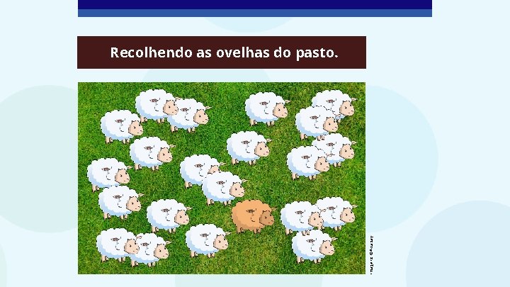 Imagens: ©Pixabay Recolhendo as ovelhas do pasto. 
