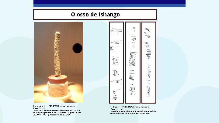 O osso de Ishango Daniel baise (CC BY-SA 3. 0) Wikimedia Commons Disponível em: