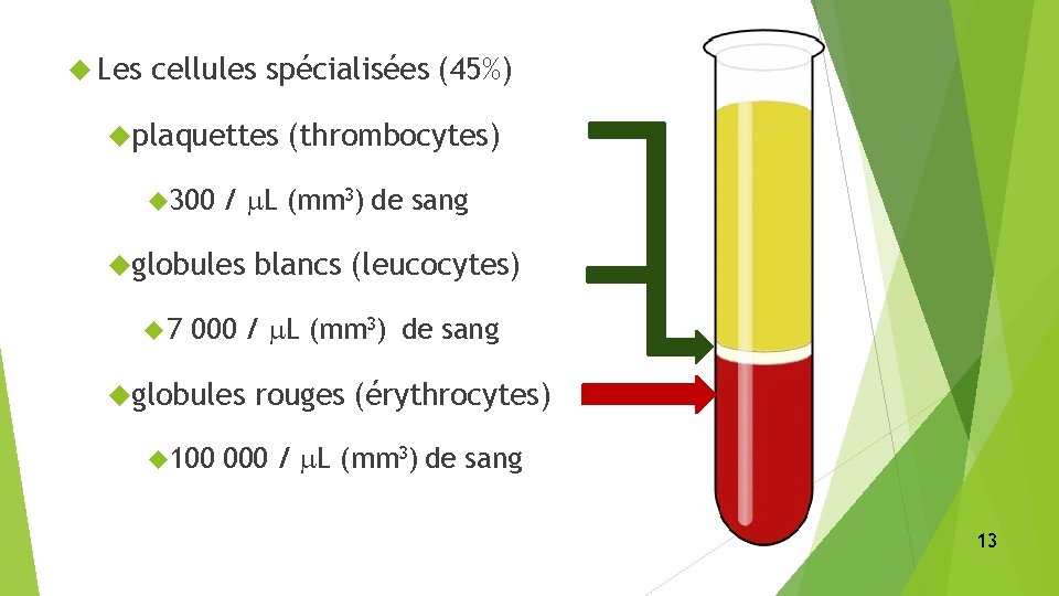  Les cellules spécialisées (45%) plaquettes (thrombocytes) 300 / L (mm 3) de sang
