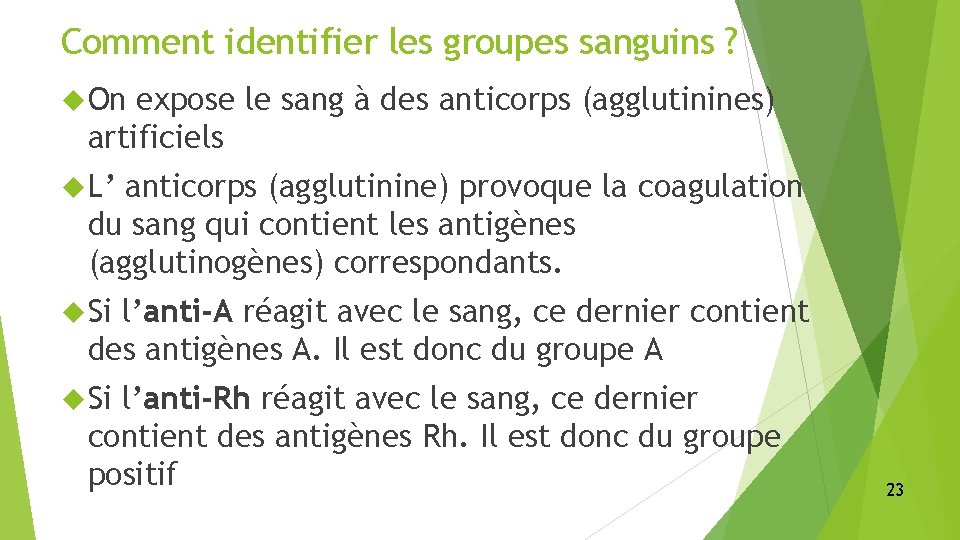 Comment identifier les groupes sanguins ? On expose le sang à des anticorps (agglutinines)