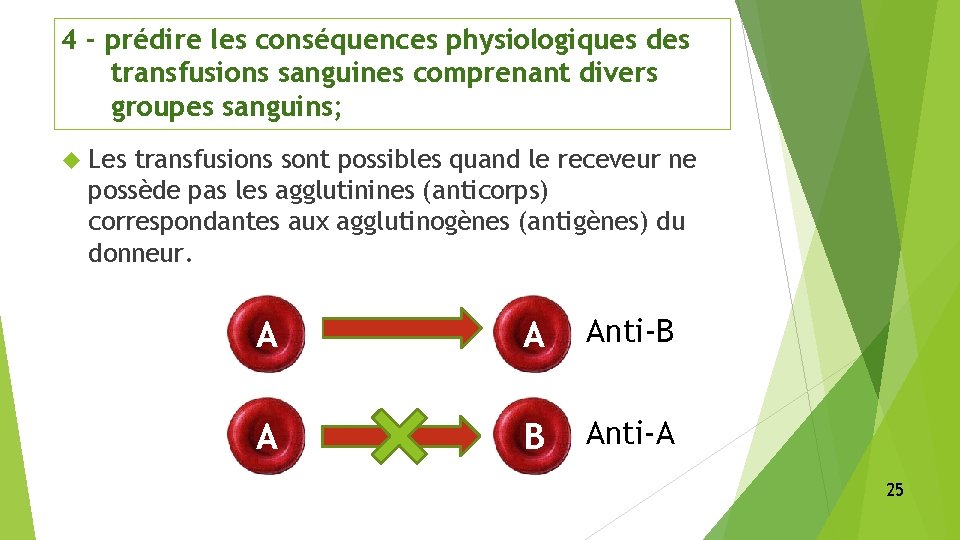 4 - prédire les conséquences physiologiques des transfusions sanguines comprenant divers groupes sanguins; Les