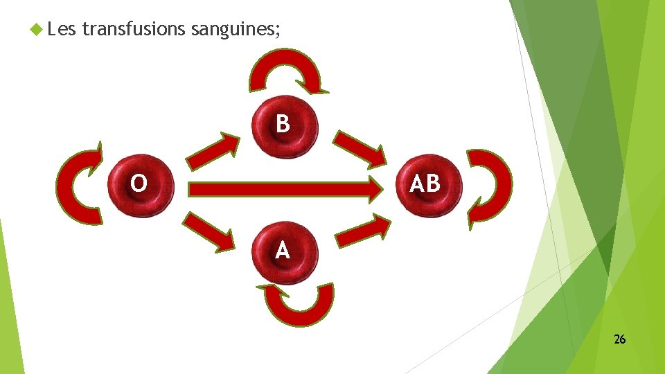  Les transfusions sanguines; B O AB A 26 