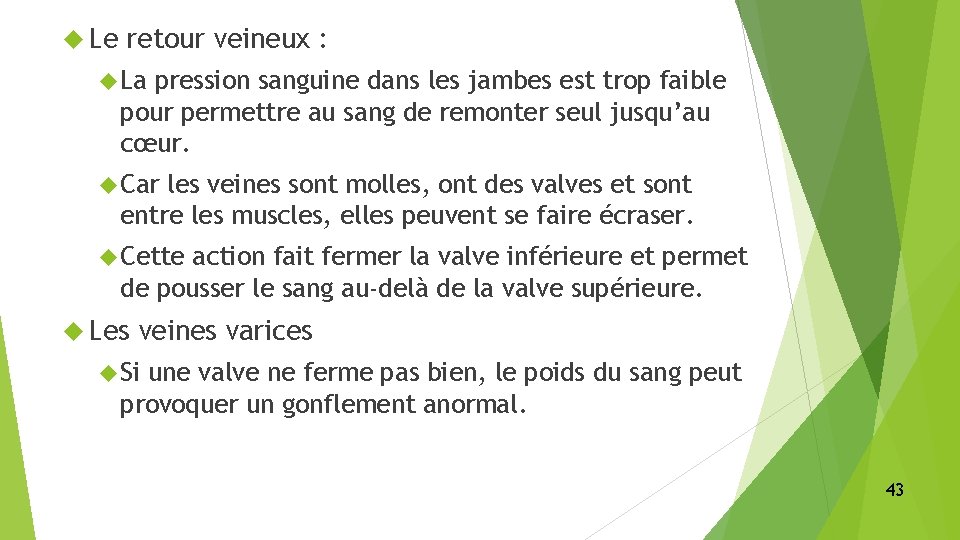 Le retour veineux : La pression sanguine dans les jambes est trop faible