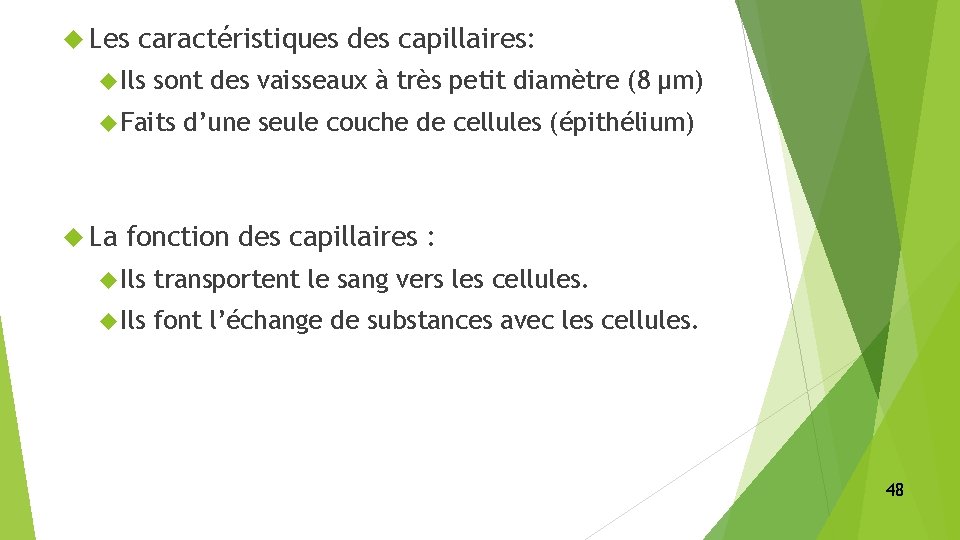  Les caractéristiques des capillaires: Ils sont des vaisseaux à très petit diamètre (8