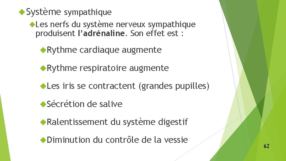  Système sympathique Les nerfs du système nerveux sympathique produisent l’adrénaline. Son effet est
