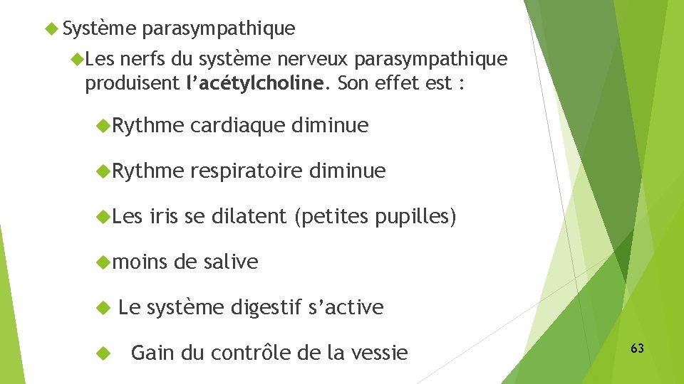  Système parasympathique Les nerfs du système nerveux parasympathique produisent l’acétylcholine. Son effet est