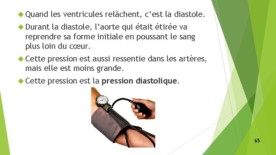  Quand les ventricules relâchent, c’est la diastole. Durant la diastole, l’aorte qui était