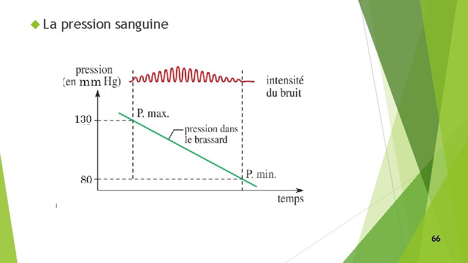  La pression sanguine 66 