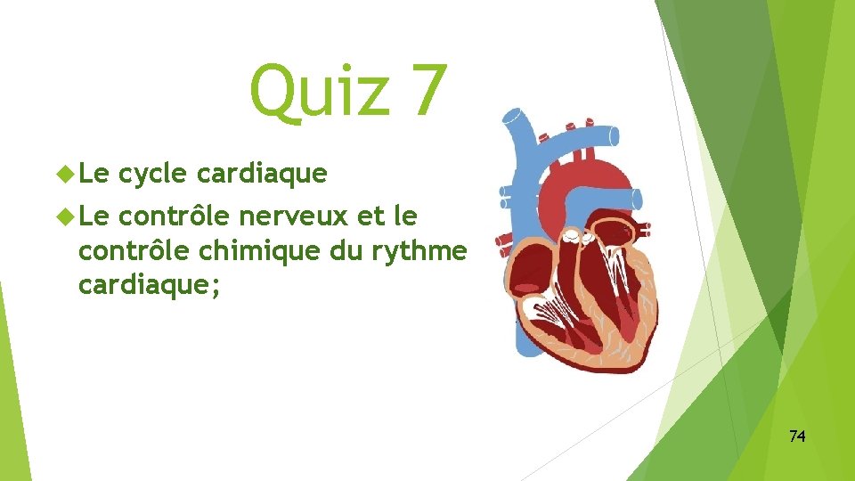 Quiz 7 Le cycle cardiaque Le contrôle nerveux et le contrôle chimique du rythme