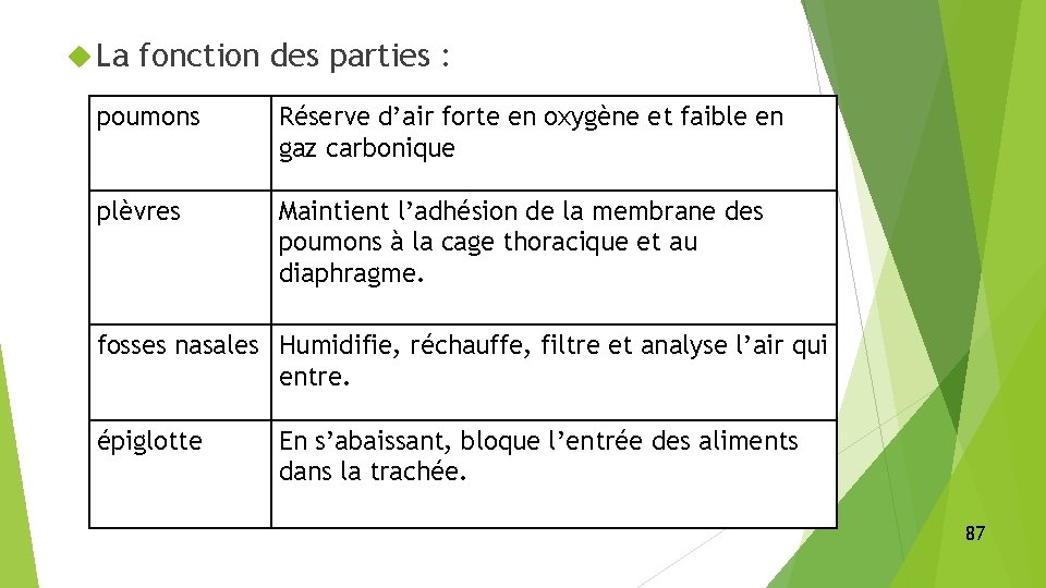  La fonction des parties : poumons Réserve d’air forte en oxygène et faible