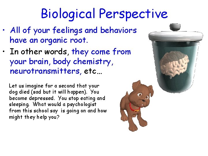 Biological Perspective • All of your feelings and behaviors have an organic root. •