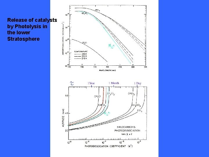 Release of catalysts by Photolysis in the lower Stratosphere 