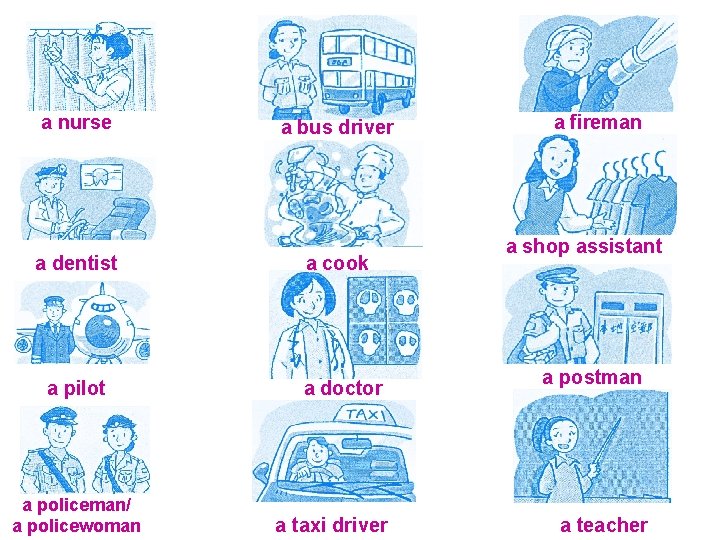 a nurse a bus driver a dentist a cook a pilot a doctor a