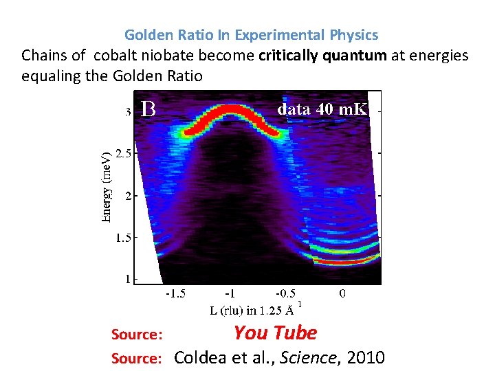 Golden Ratio In Experimental Physics Chains of cobalt niobate become critically quantum at energies