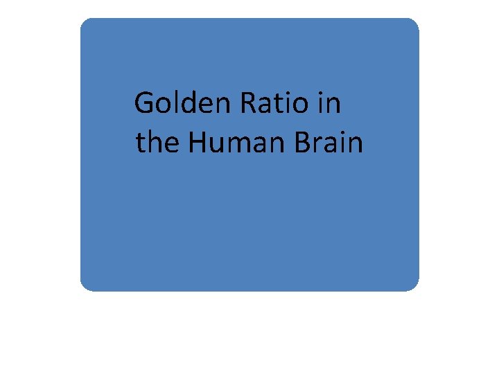 Golden Ratio in the Human Brain 