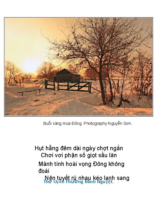 Buổi sáng mùa Đông. Photography Nguyễn Sơn. Hụt hẫng đêm dài ngày chợt ngắn