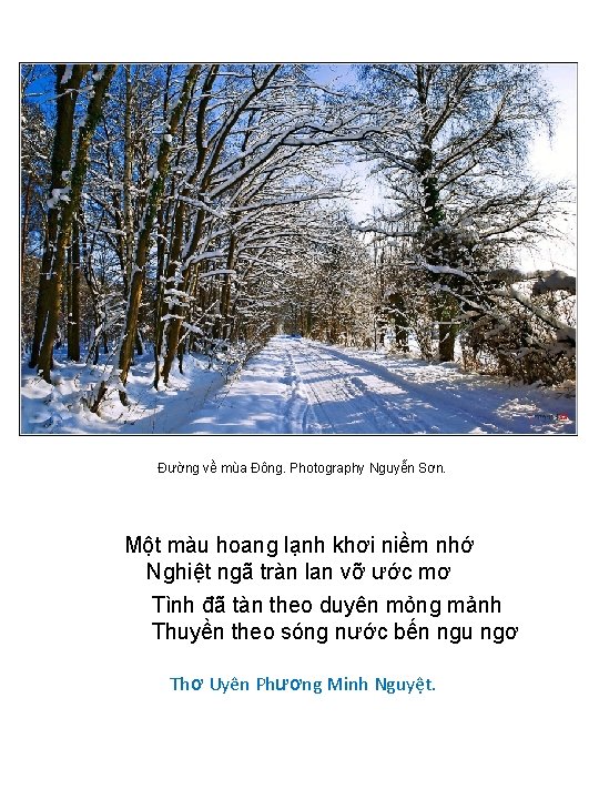 Đường về mùa Đông. Photography Nguyễn Sơn. Một màu hoang lạnh khơi niềm nhớ