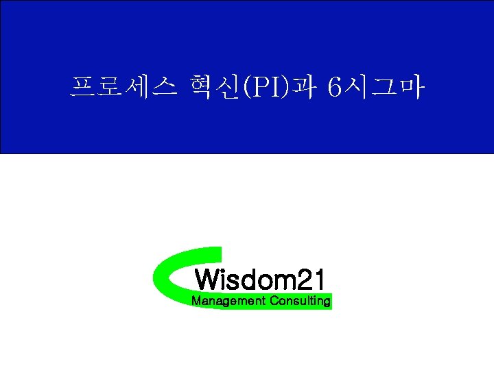 프로세스 혁신(PI)과 6시그마 Wisdom 21 Management Consulting 