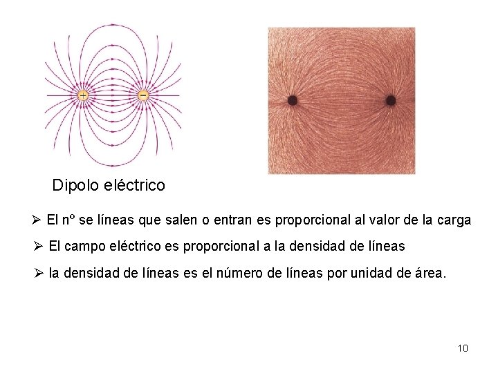 Dipolo eléctrico El nº se líneas que salen o entran es proporcional al valor