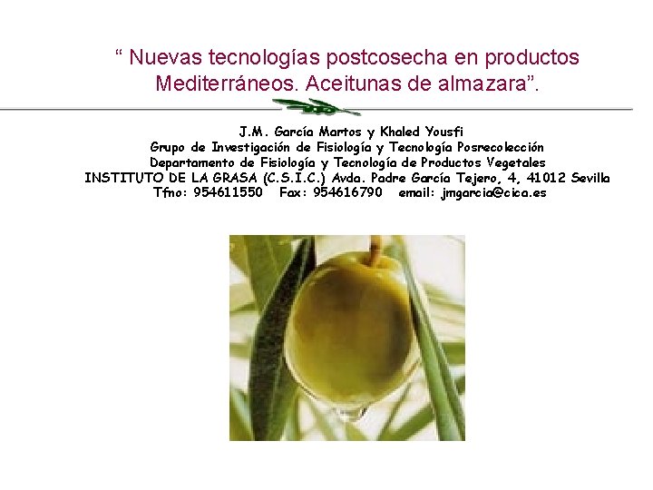 “ Nuevas tecnologías postcosecha en productos Mediterráneos. Aceitunas de almazara”. J. M. García Martos