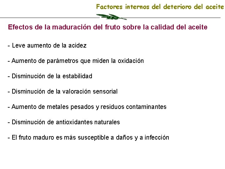 Factores internos del deterioro del aceite Efectos de la maduración del fruto sobre la