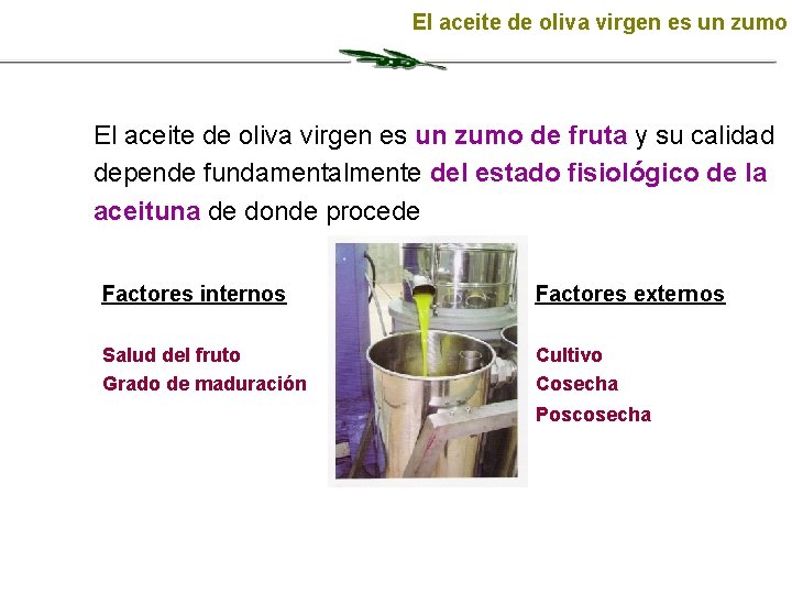 El aceite de oliva virgen es un zumo de fruta y su calidad depende