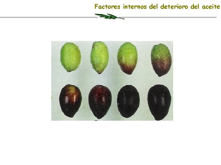 Factores internos del deterioro del aceite 