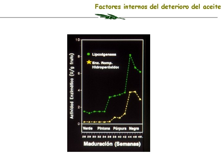 Factores internos del deterioro del aceite 