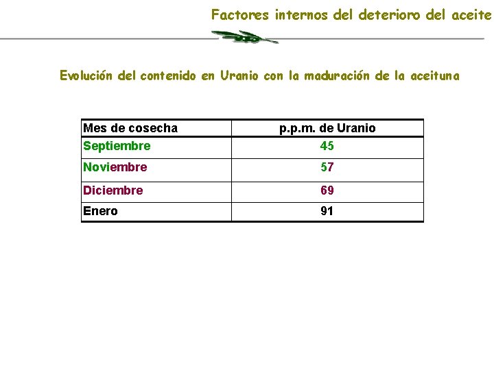 Factores internos del deterioro del aceite Evolución del contenido en Uranio con la maduración