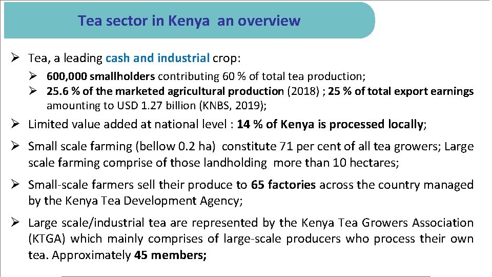 Tea sector in Kenya an overview Ø Tea, a leading cash and industrial crop: