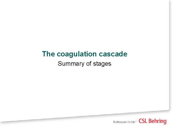 The coagulation cascade Summary of stages 