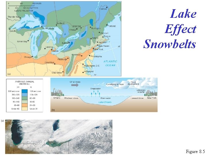 Lake Effect Snowbelts Figure 8. 5 