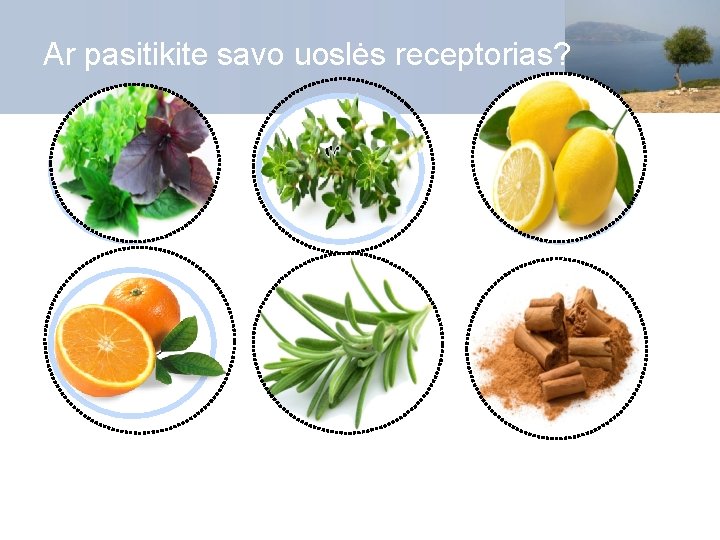 Ar pasitikite savo uoslės receptorias? 1 2 3 4 5 6 