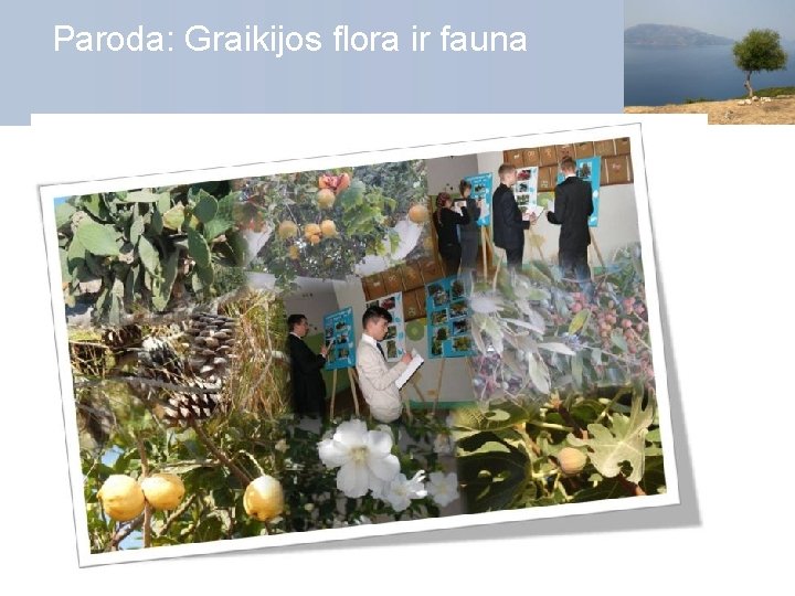 Paroda: Graikijos flora ir fauna 