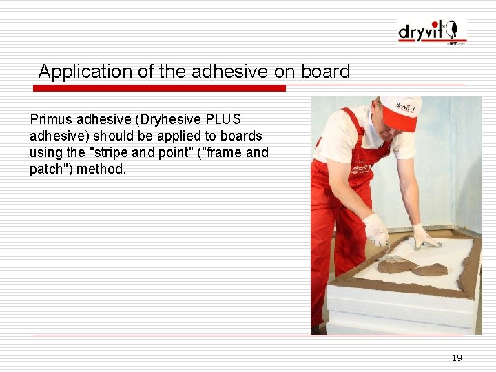 Application of the adhesive on board Primus adhesive (Dryhesive PLUS adhesive) should be applied