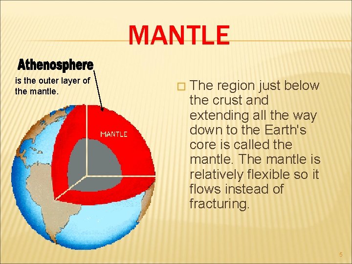 MANTLE is the outer layer of the mantle. � The region just below the