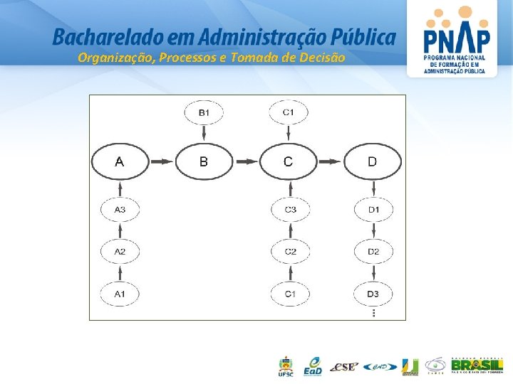 Organização, Processos e Tomada de Decisão 
