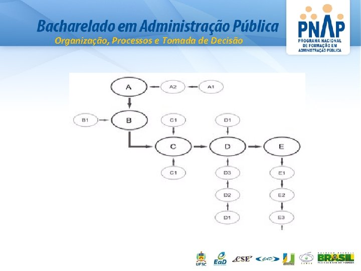 Organização, Processos e Tomada de Decisão 