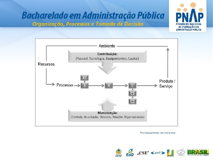 Organização, Processos e Tomada de Decisão Processamento de recursos. 