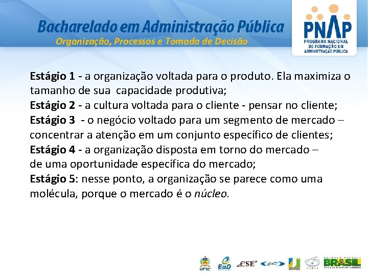 Organização, Processos e Tomada de Decisão Estágio 1 - a organização voltada para o
